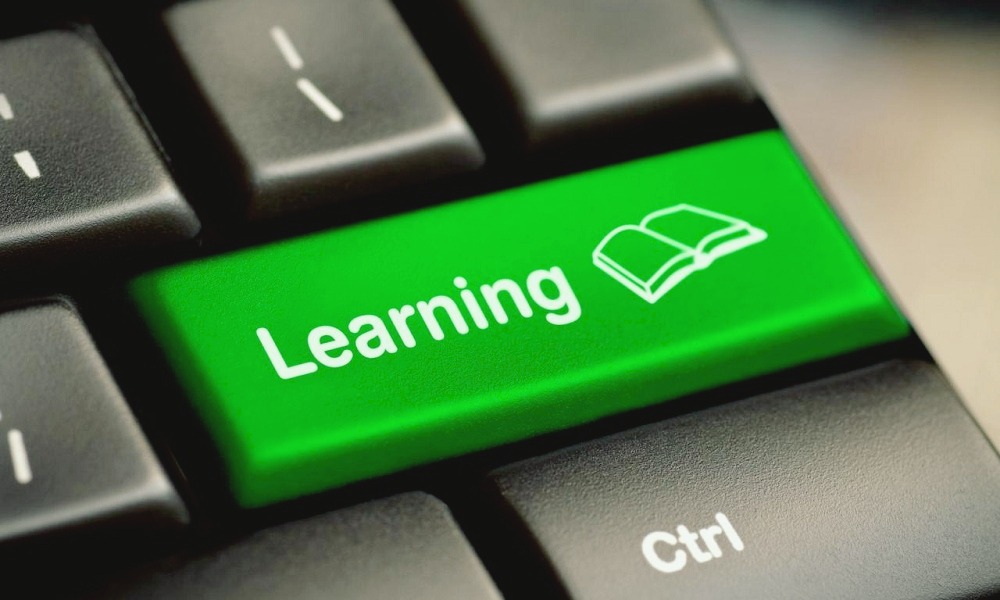 Insight into distance learning programs