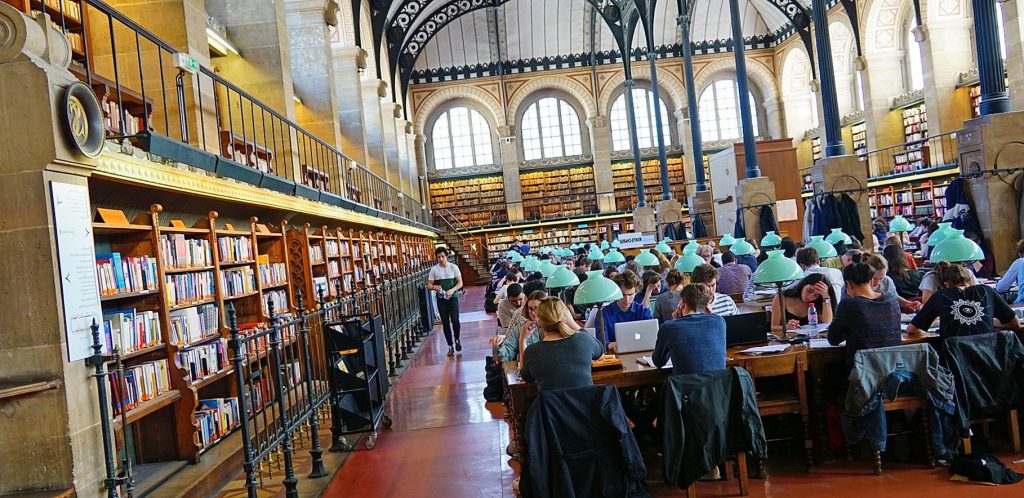 Students studying in library